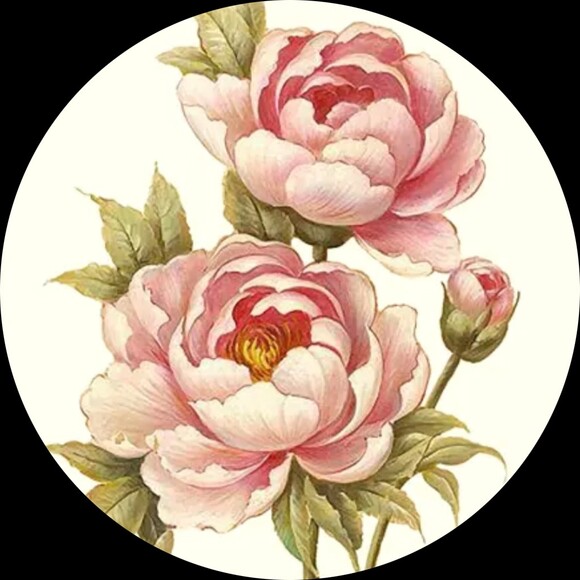 peonypetals325